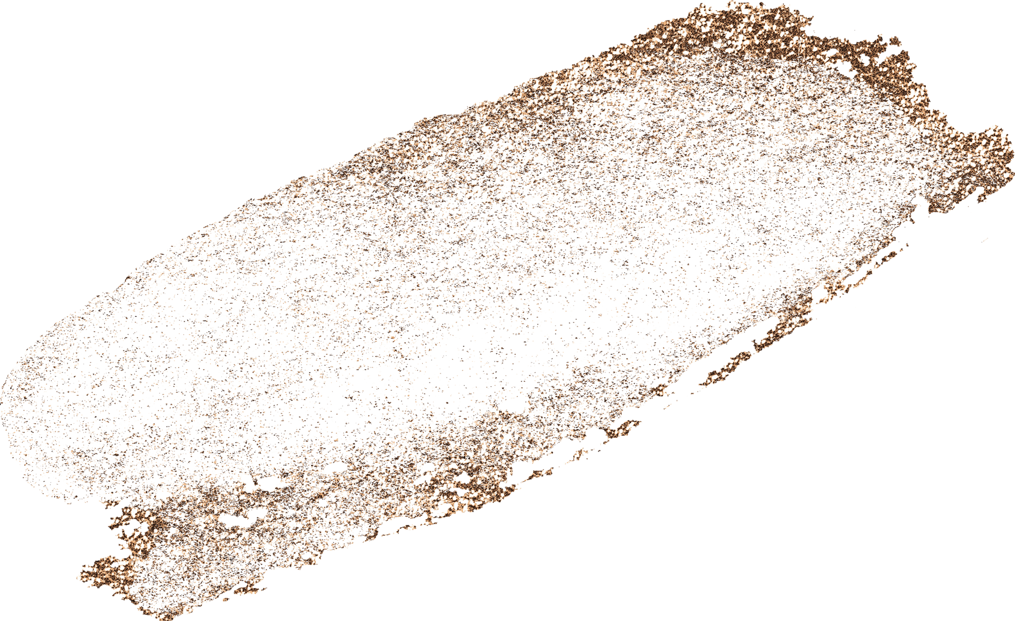 Infos Couple 2022 4 gold-element-brush-33.png