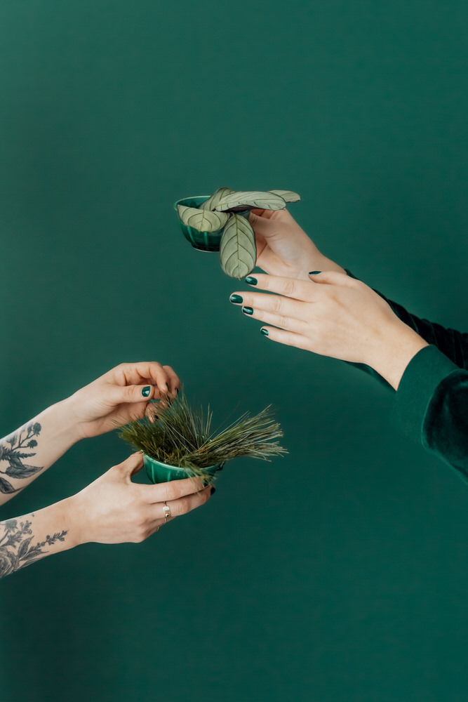 photographe professionnel bordeaux artisanat fleuriste maison monochrome