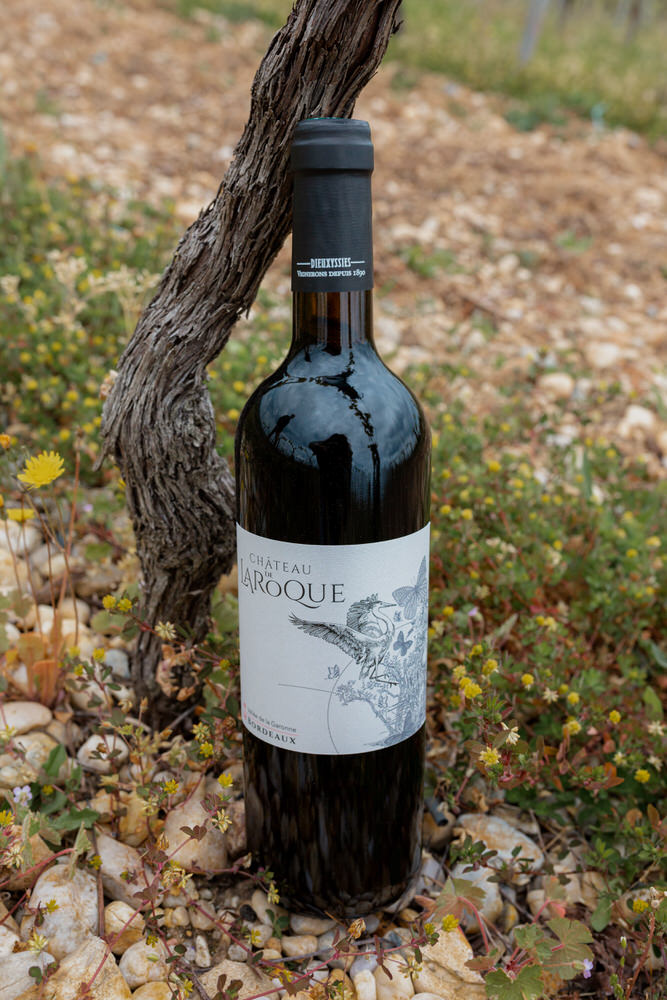 photographe professionnel bordeaux vigneron bouteille vin reportage vignes